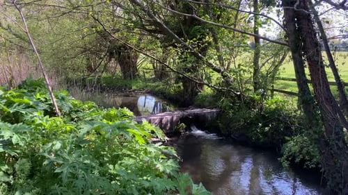 Ein kleiner Bach, der an einem Frühlingstag durch die Landschaft von Worcestershire fließt, England, Großbritannien.