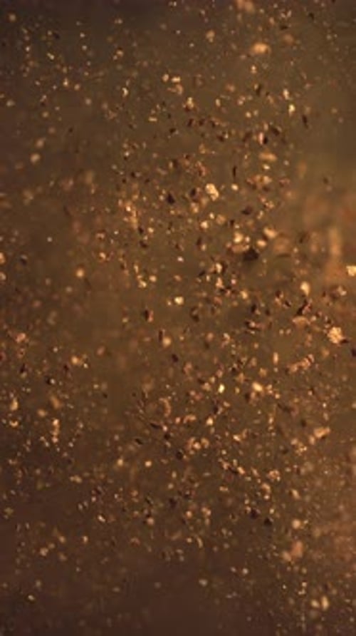 Super Slow Motion Macro Shot of Makeup Golden Face Powder Explosion Beauty Makeup Glitter Flying in