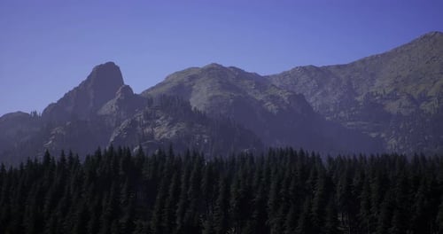 Majestic Mountains Rise Above Dense Evergreen Forest in Clear Blue Sky