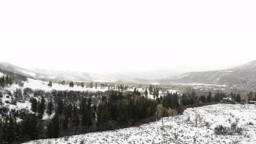 Winterscape Rocky Mountains Valley With Pine Trees And Snow-Covered Field Near Estes Park, Colorado