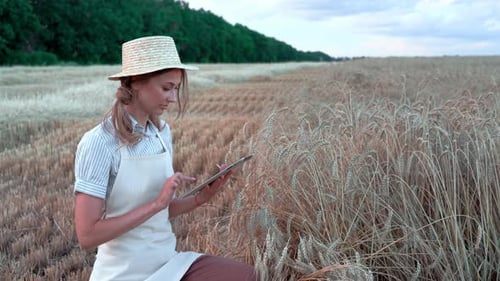 Young Woman Monitoring Wheat Crop with Tablet