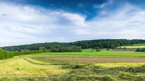 Agricultural Fields with Crops in the Countryside in a Hilly Valley Under a Cloudy Sky
