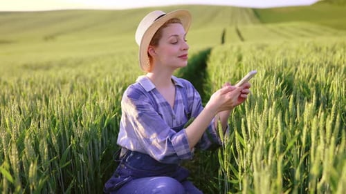 Woman Using Phone in Golden Wheat Field