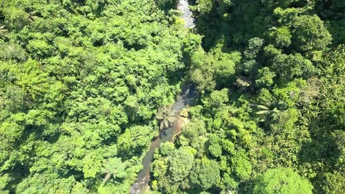 Luftaufnahme der Waldnatur und der grünen Waldbäume in der Landschaft der Berghügel