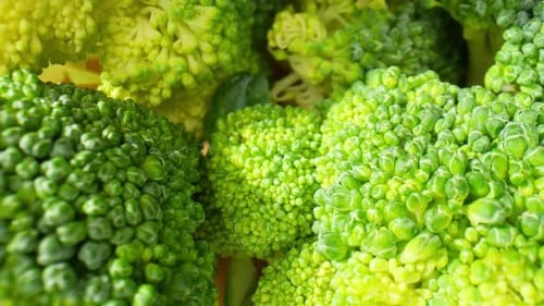 Explore the intricate details of a broccoli. Macro video