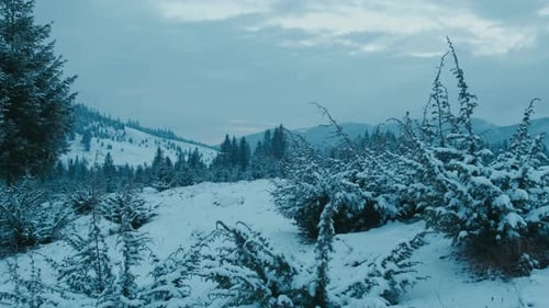 Welcome to a Breathtaking Winter Wonderland An Expansive Snowy Mountain Landscape Awaits you