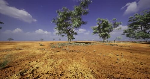 Desert Landscape with Sparse Vegetation Under a Clear Blue Sky at Midday