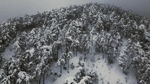 Montagnes enneigées et brouillard - 2K