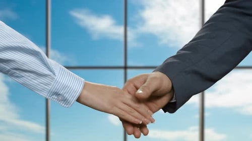 Business Handshake Agreement in front of Window