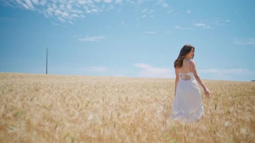 Молодая женщина, движущаяся колоски, луг, вид сзади, беззаботная девушка, бегущая по пшеничному полю