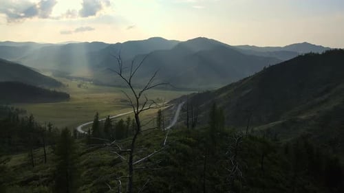Aerial View of an Old Withered Tree on the Pass Against a Beautiful Valley