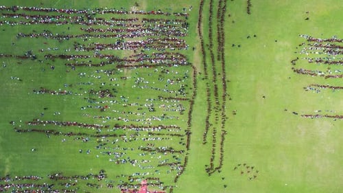 Vue aérienne d'un rassemblement de masse sur l'herbe, Bangladesh.