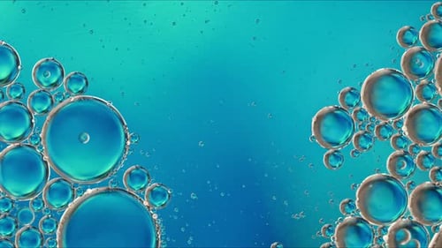 Abstract Colorful Food Oil Drops Bubbles And Spheres Flowing On Water A Surface 72