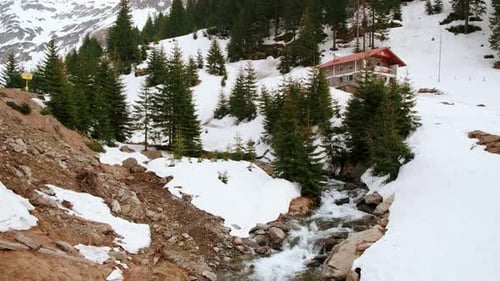 Beautiful Alpine Landscape