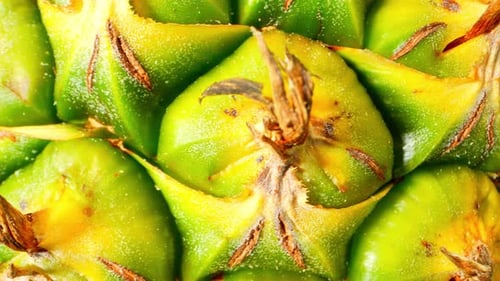 The intricate details of a pineapple skin.