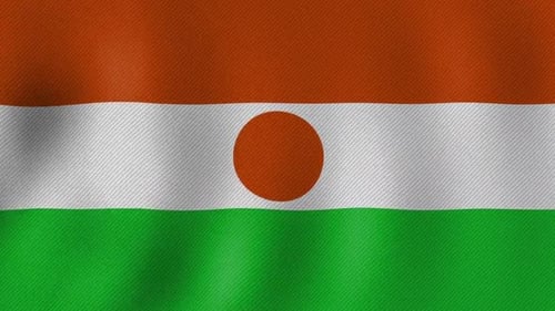 Niger National Flag Waving Seamless Loop with Fabric Texture