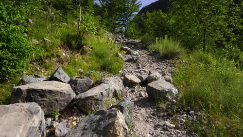 Hiking path on mountains of Albania, rocky slope and green wild forest of Alps