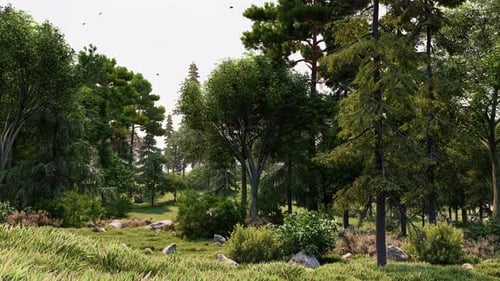 Calm Forest Landscape