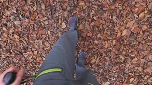 Walking on Path Covered with Autumn Leaves