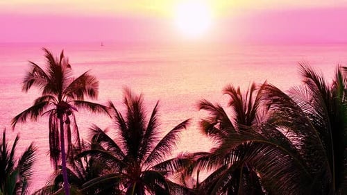 Travel to the paradise sea beach. Sunset at the Tropical Sand Beach