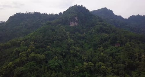 Slow aerial shot of natural thick tree forest on hill during sunny day.Nature landscape footage.