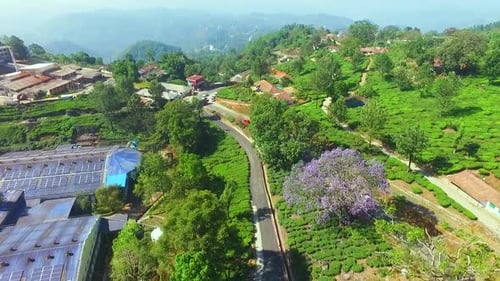 Plantation de thé en Inde Munnar Asia Vue aérienne hors route verdâtre. longues routes, usine de thé Munnar