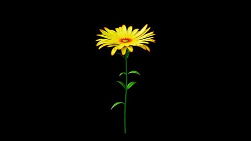 Blume: Gelb, blühender Alpha-Kanal