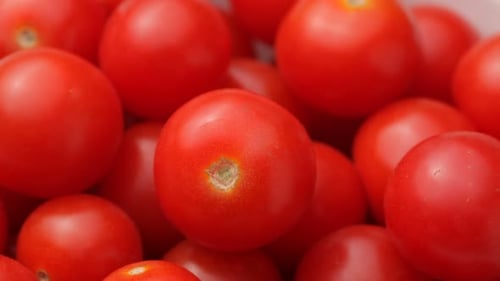 Close up footage of red cherry tomatoes