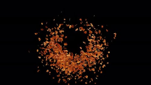 Autumn Maple Leaves Explosion 01 4K