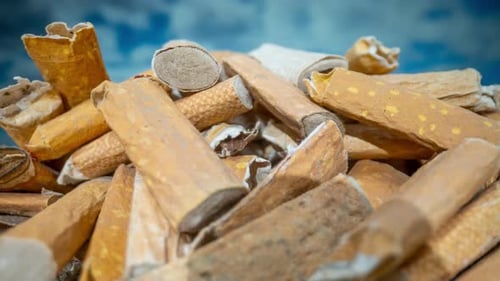 Cigarette Stubs on a Sandy Beach
