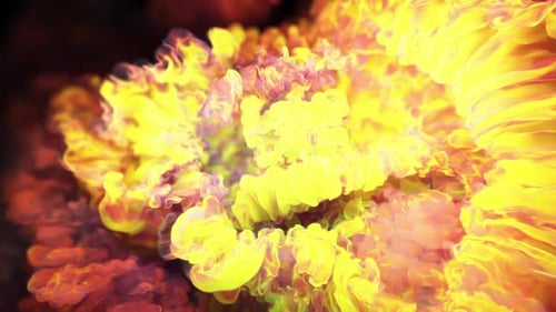 abstraction on the theme of the cosmic nebula and the birth of new universes