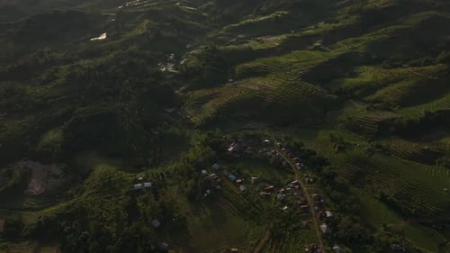 Aerial view of terraced fields and village at sunrise, Indonesia.