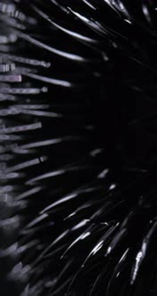 Black Metallic Sphere with Spikes Rotating in Dark