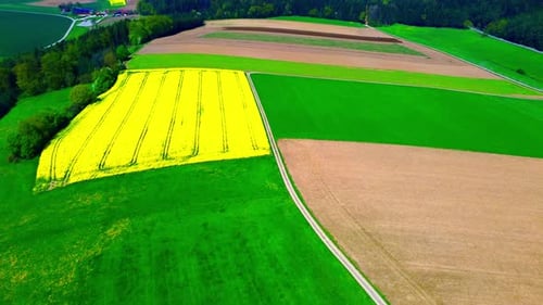 Aerial View of Vibrant Yellow Flower Field Amidst Green and Brown Farmland