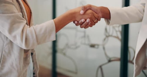 Handshake, welcome and business women in office with company merger, deal or partnership