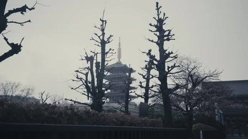 A View Of The Popular Asakusa Shrine And Sensoji Temple With The Five-Storied Pagoda In Tokyo, Japan