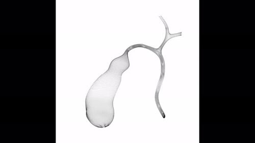 Rotating Gallbladder Minimalistic Wireframe Endless Loop 4K 60FPS