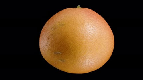 Isolated grapefruit, smoothly rotating on a black background. Close-up loop for cutting out.