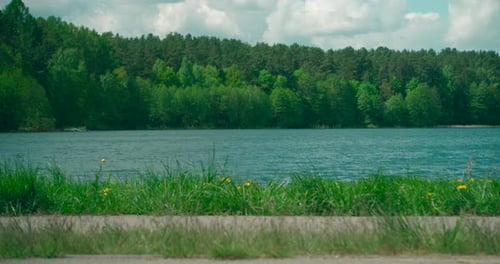 View of green forest and lakeshore summer natural landscape with turquoise lake and pine tree forest