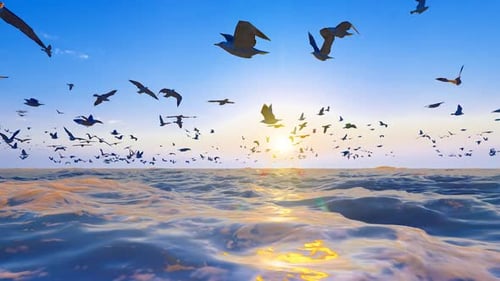 Die Möwen, die frei auf dem Meer der Wellen fliegen