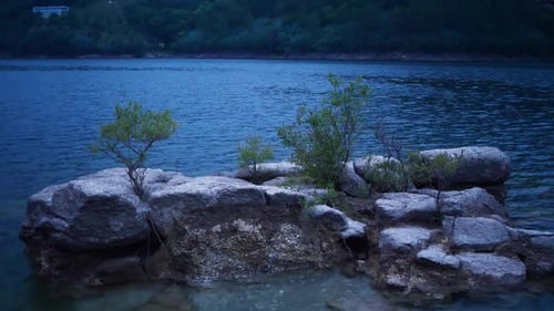 trees and rocks on a lake