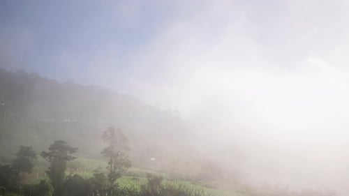 Timelapse fog on mountain and cloudy sky landscape, beautiful nature of forest and mountains
