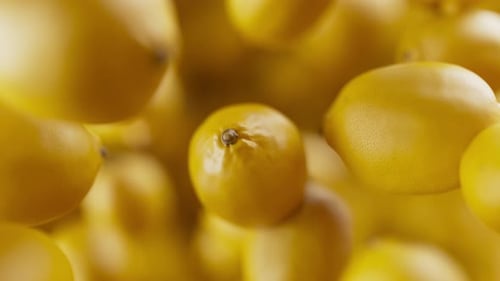 Animation of a group of lemons. Defocus. Close-up.