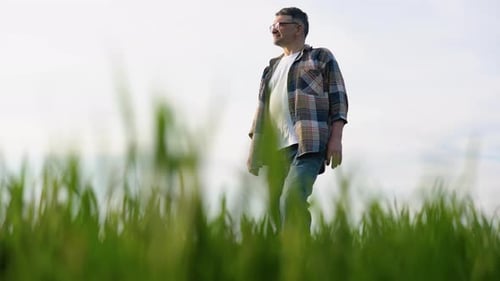 Adult Walking Through Green Grassy Rural Field