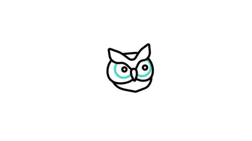 Owl Animated Icon