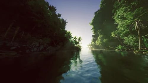 Peaceful River Flow Through Lush Tropical Jungle