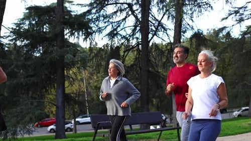 Group of Senior Friends Jogging Together in the Park