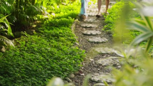 Couple Looking Watching Monkeys in Tropical Jungle, Costa Rica American
