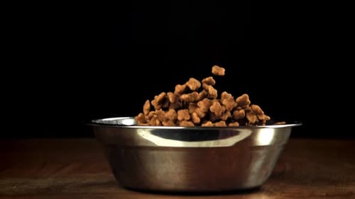 A Bowl of Dog Food Falls to the Floor Filmed on a Highspeed Camera at 1000 Fps