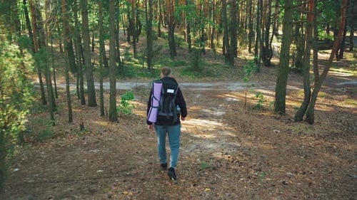 A Dedicated Hiker Walking Leisurely Through a Serene and Picturesque Forest Trail Hiking Young